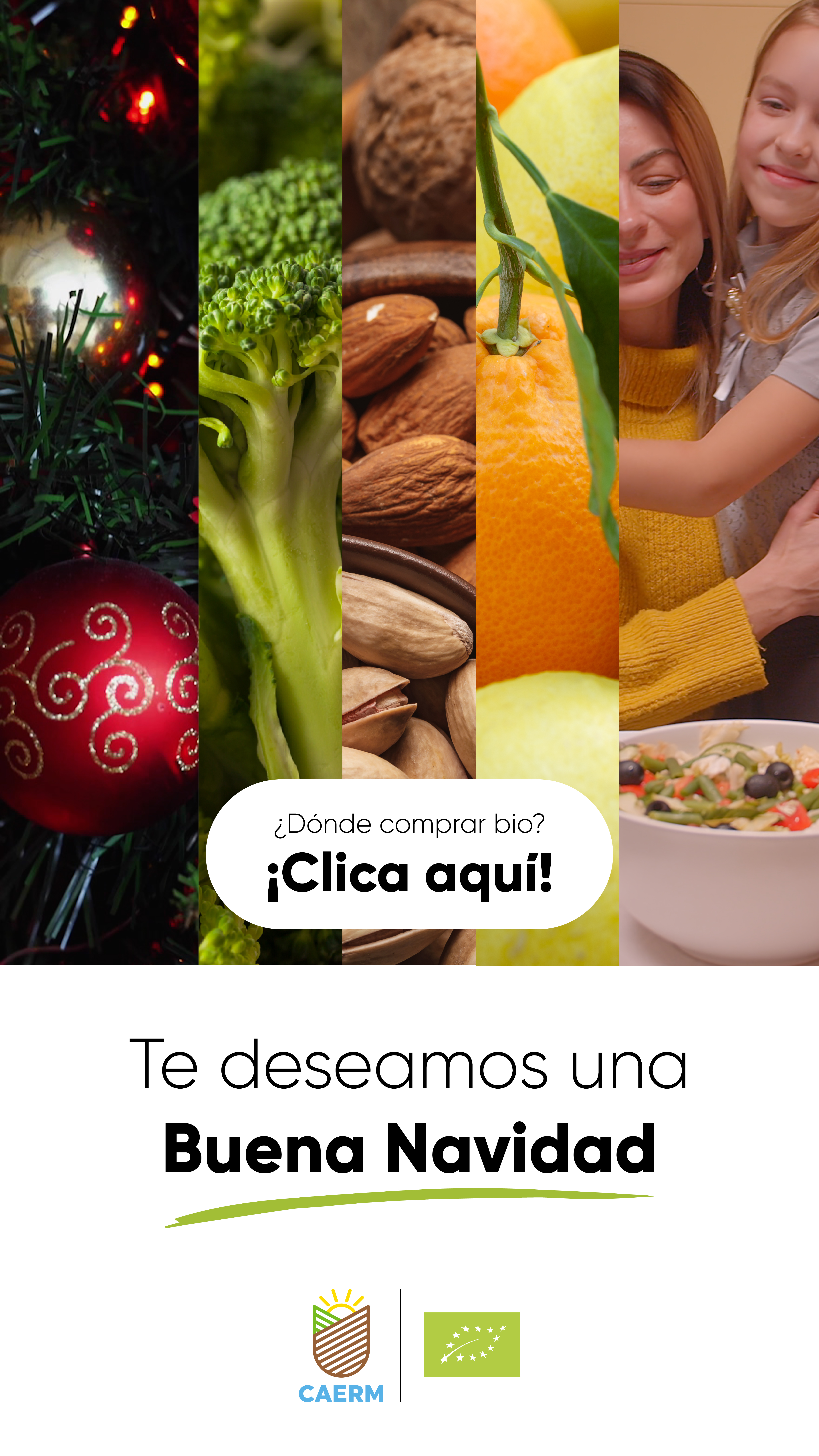 Banner movil Navidad CAERM