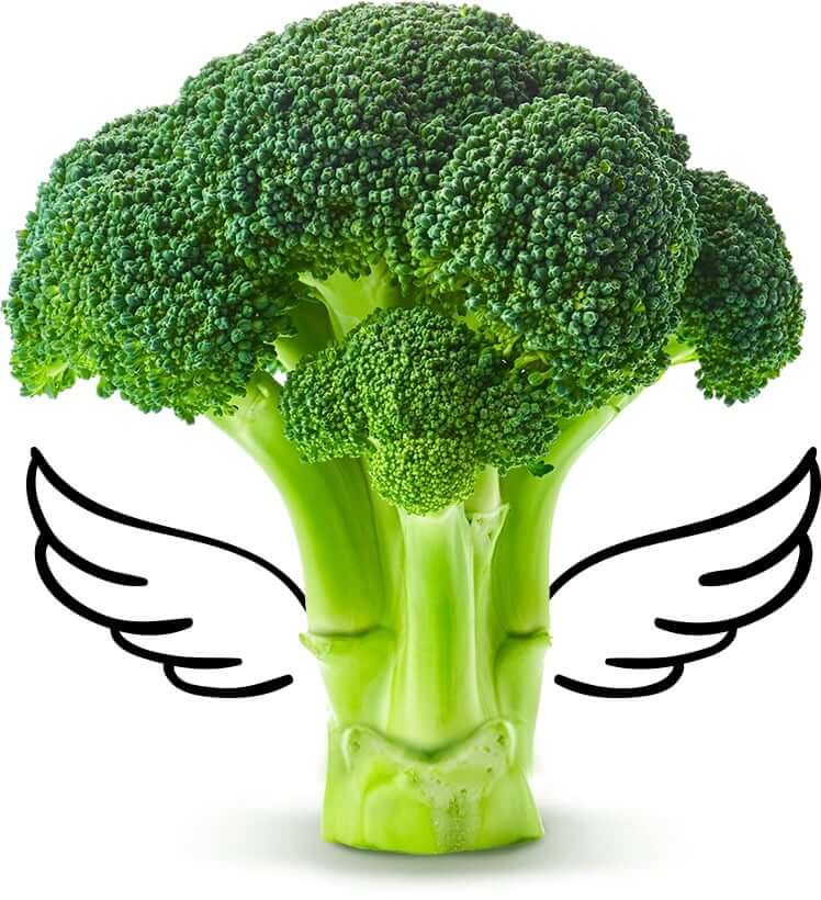 46508890 0 BROCOLI